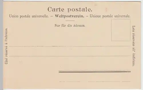 (21348) AK Interlaken, Panorama, Jungfrau, bis 1905