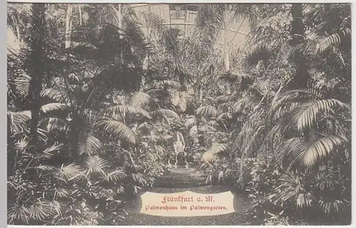 (21299) AK Frankfurt am Main, Palmenhaus, um 1905