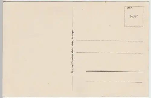 (20913) Künstler AK Friedrichshafen, Panorama, vor 1945