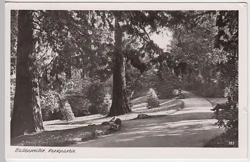 (20606) Foto AK Badenweiler, Parkpartie 1953