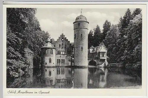 (20445) AK Schloss Mespelbrunn, vor 1945