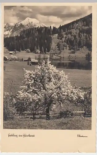 (20373) Foto AK Frühling am Gleinkersee, vor 1945