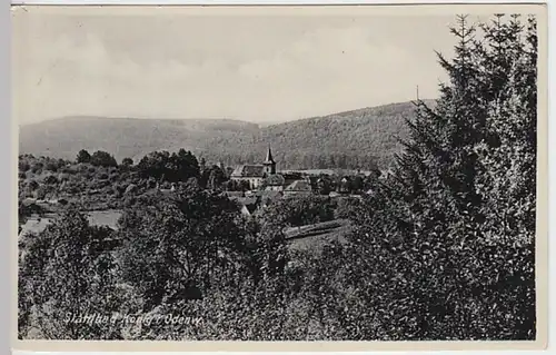 (20365) AK Bad König, Panorama 1933