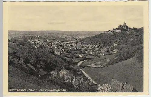 (20194) AK Wernigerode, Panorama vom Zwölfmorgental 1941