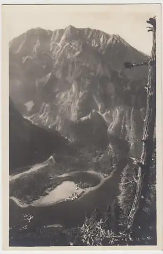 (20163) Foto AK Schönau, Königssee, Blick v. d. Gotzenalm, vor 1945