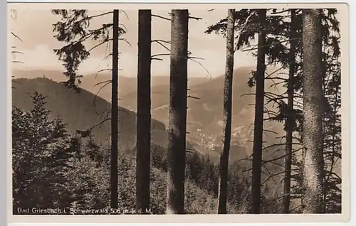 (20041) Foto AK Bad Griesbach im Schwarzwald, Waldblick, vor 1945