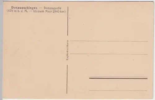 (20005) AK Donaueschingen, Donauquelle, vor 1945