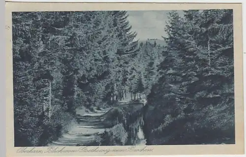 (19920) AK Harz, Blick vom Goetheweg zum Brocken 1924