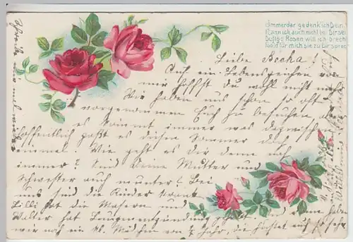 (19888) AK Sprüche, Immer gedenk ich dein, Rosen 1904