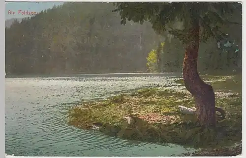 (19791) AK Feldsee, Schwarzwald 1912