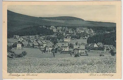 (19622) AK Braunlage, Harz, Panorama 1925
