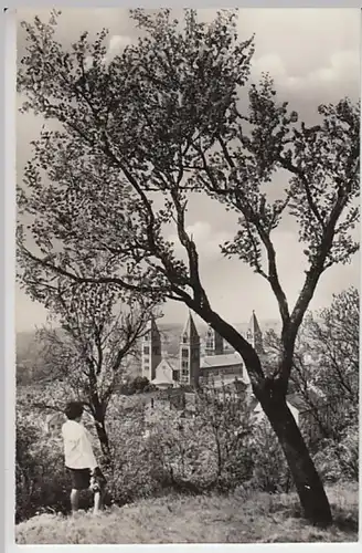 (19431) Foto AK Pecs, Kathedrale 1960er