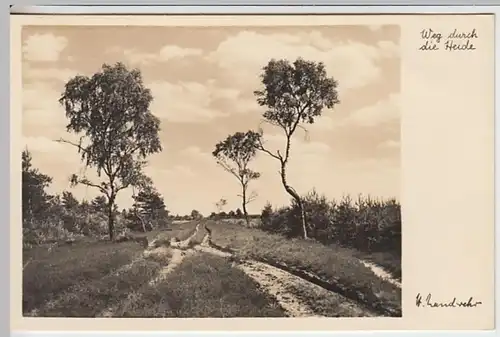 (19172) Foto AK Lüneburger Heide, Birkenweg, vor 1945