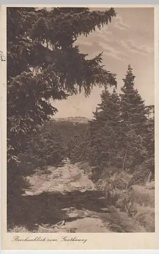 (19024) AK Harz, Blick vom Goetheweg zum Brocken 1930