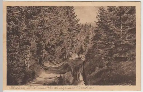 (19014) AK Harz, Blick vom Goetheweg zum Brocken 1925