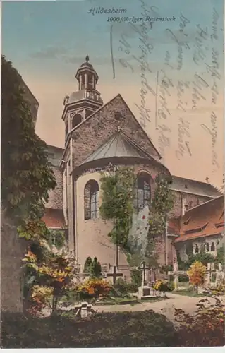 (19012) AK Hildesheim, Dom, Tausendjähriger Rosenstock 1926