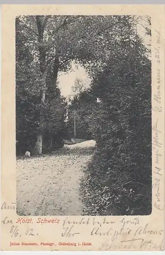 (19006) AK Holstein. Schweiz, Gebäude hinter Bäumen, Ort unbek. 1902