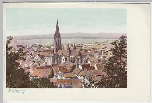 (18887) AK Freiburg im Breisgau, Stadtansicht, Münster, bis 1905