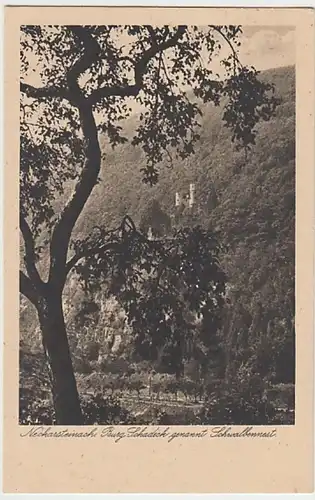 (18845) AK Neckarsteinach, Burg Schadeck, Schwalbennest, vor 1945