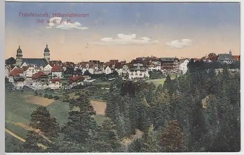 (18787) AK Freudenstadt, Panorama 1919