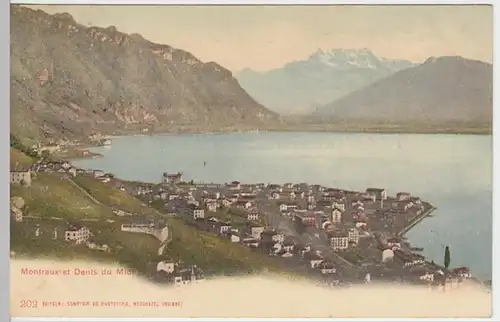 (18737) AK Montreux, Waadt, Panorama, Dents du Midi 1902