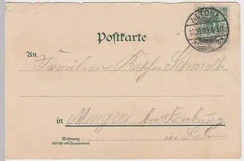 (18733) AK Gruß aus Hamburg, Frau in Tracht, Alster, Rathaus 1899