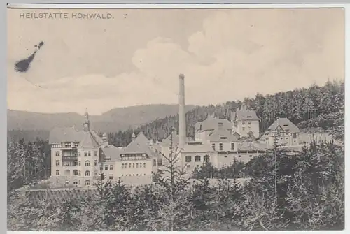 (18600) AK Lobendava, Lobendaui, Heilstätte Hohwald 1906