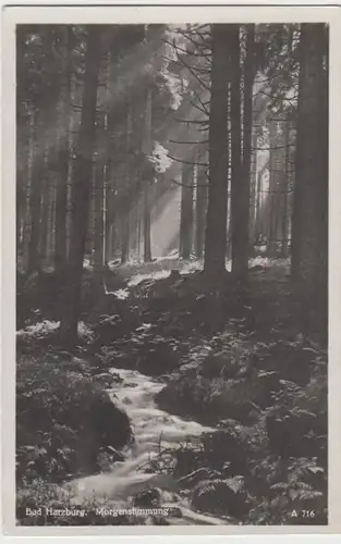 (18475) Foto AK Bad Harzburg, Wald 1930