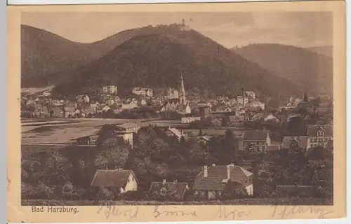 (18404) AK Bad Harzburg, Panorama 1918