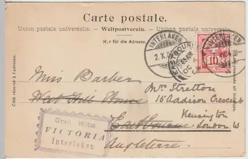 (17813) AK Interlaken, Ortsansicht mit Jungfrau 1904