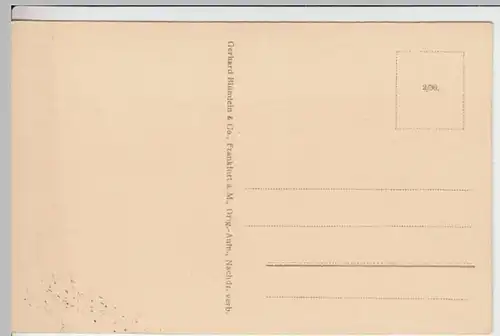 (17704) AK Wiesbaden; Panorama mit Nerobergtempel, vor 1945