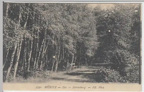 (17400) AK Müritz, Ost, Strandweg, gel. 1920