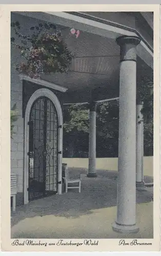 (17325) AK Horn, Bad Meinberg, Brunnen 1961