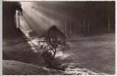 (17301) Foto Ak Königsfeld (Schwarzwald), Herbstmorgen 1960