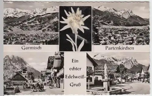 (17299) Foto AK Garmisch-Partenkirchen, echter Edelweiß, 1960