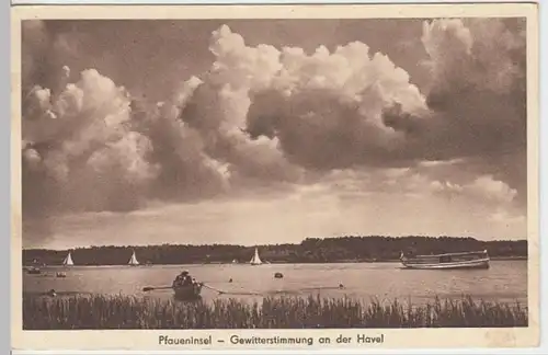 (17198) AK Berlin Wannsee, Pfaueninsel, Havel, vor 1945