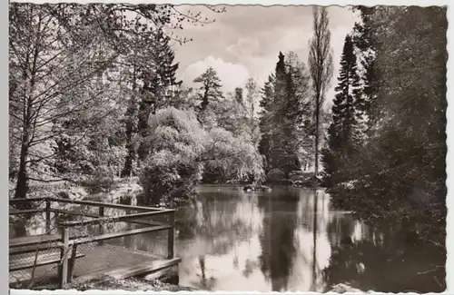 (17030) Foto AK Badenweiler, Kurpark 1960