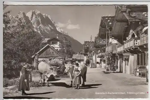 (17013) Foto AK Garmisch-Partenkirchen, Frühlingsstraße 1964