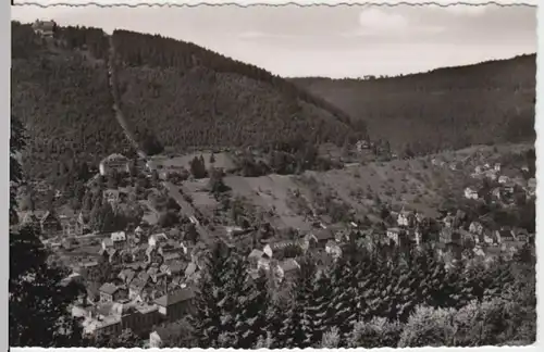 (16984) Foto AK Bad Wildbad 1954