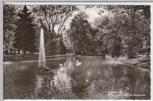 (16932) Foto AK Bad Orb (Spessart), Kurgarten, Weiher 1964