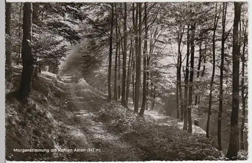 (16928) Foto AK Kahler Asten (Rothaargeb.), Waldweg, Sonderstempel 1959