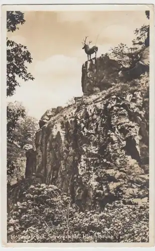 (16906) Foto AK Höllental (Schwarzw.), Hirschsprung 1936