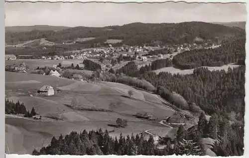 (16837) Foto AK Hinterzarten (Schwarzw.), Panorama 1956