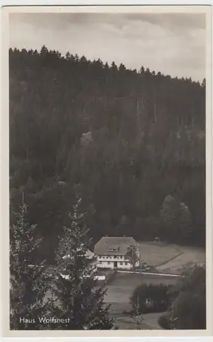 (16810) Foto AK Hinterzarten (Schwarzw.), Haus Wolfsnest, vor 1945