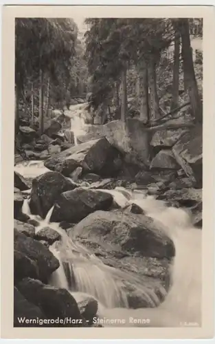 (16786) Foto AK Wernigerode, Steinerne Renne 1955