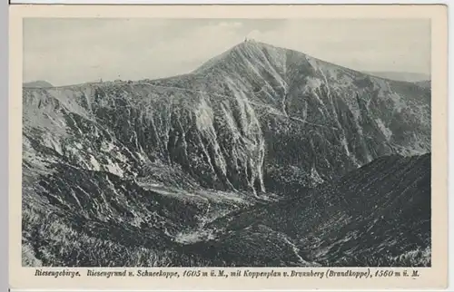 (16724) AK Riesegebirge, Riesengrund, Schneekoppe, Koppenplan, vor 1945