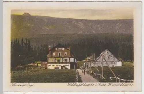 (16691) AK Riesengebirge, Schlingelbaude, Prinz Heinrich Baude, vor 1945