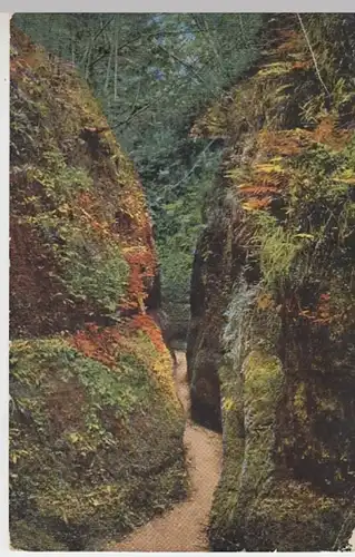 (16674) AK Eisenach, Th., Drachenschlucht 1929