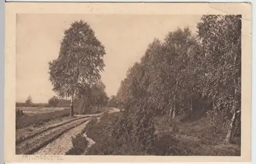 (16672) AK Bad Fallingbostel, Lüneburger Heide, Weg am Waldrand, vor 1945