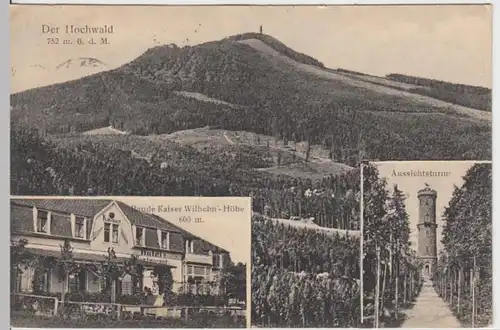 (16628) AK Hochwald, Baude Kaiser Wilhelm Höhe, Aussichtsturm 1921
